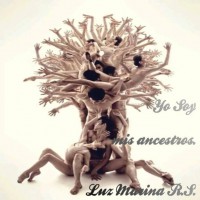 REFLEXIONES DE UN CONSTELADOR